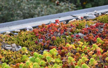 the cost of Cwm Dows green roof installation