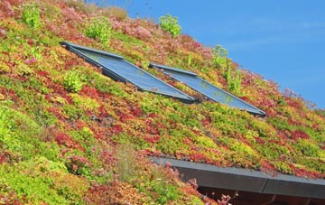 Cwm Dows living roof systems