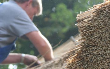 professional Cwm Dows thatchers