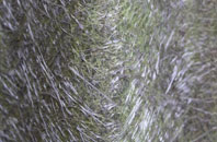 Cwm Dows fibreglass roof work